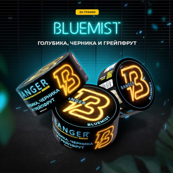 Табак Banger Bluemist (Голубика Черника и Грейпфрут) 25 гр в Сыктывкаре