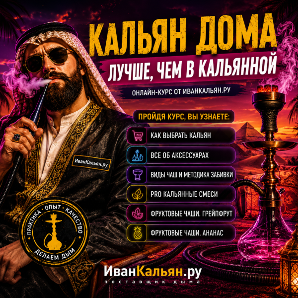 Онлайн-курс БАЗА в Сыктывкаре