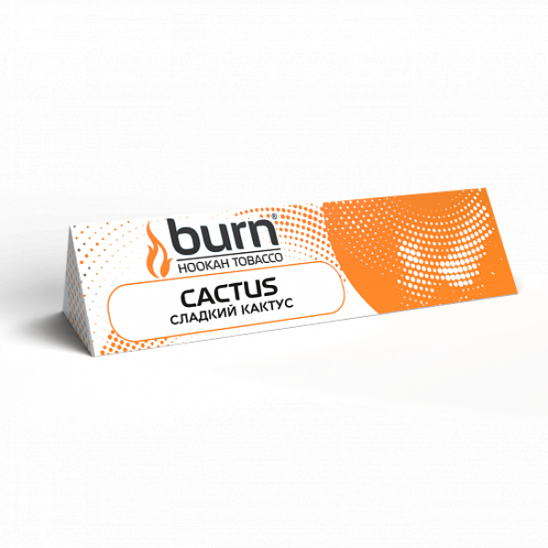 Табак BURN CACTUS 25 грамм в Сыктывкаре