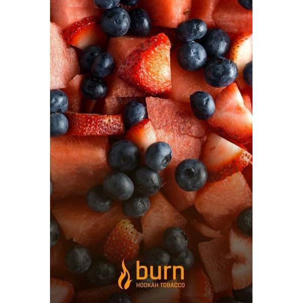 Табак Burn Berried Treasure 100 грамм в Сыктывкаре