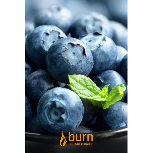 Табак Burn Blueberry Mint 100 грамм в Сыктывкаре
