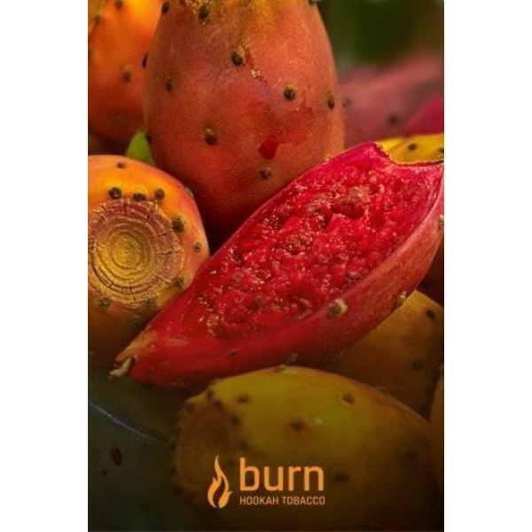 Табак Burn Cactus 100 грамм в Сыктывкаре