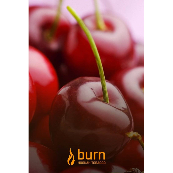 Табак Burn Candy Cherry 100 грамм в Сыктывкаре