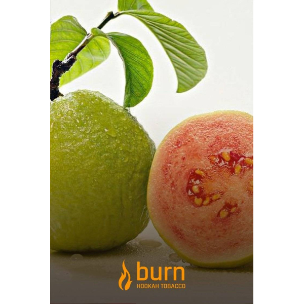 Табак Burn Guava 100 грамм в Сыктывкаре