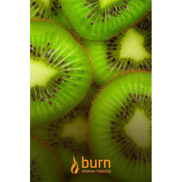 Табак Burn Kiwi 100 грамм в Сыктывкаре