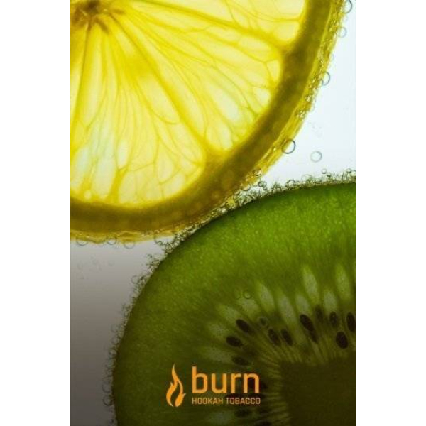 Табак Burn Kiwi Lemon 100 грамм в Сыктывкаре