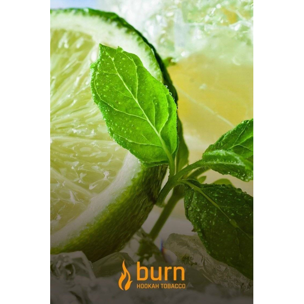 Табак Burn Lemon Mint 100 грамм в Сыктывкаре
