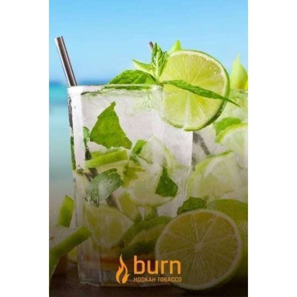 Табак Burn Mojito 100 грамм в Сыктывкаре