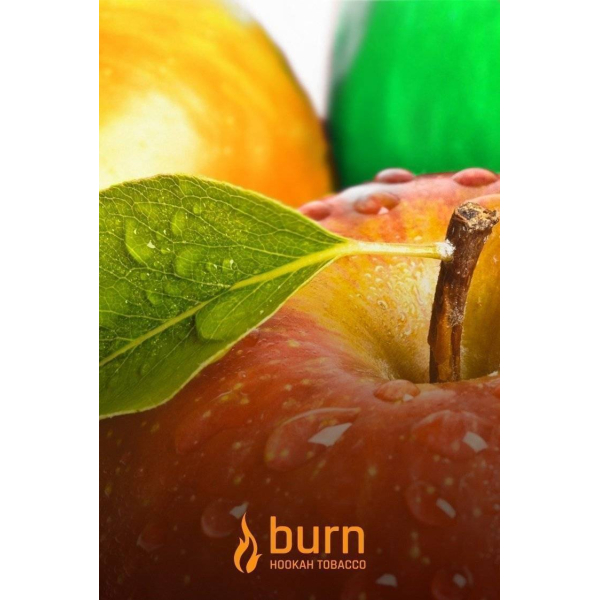 Табак Burn Three Apples 100 грамм в Сыктывкаре