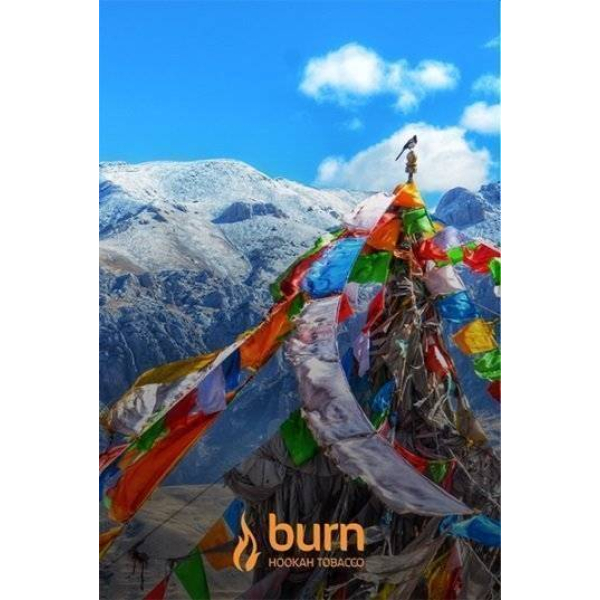 Табак Burn Tibet 100 грамм в Сыктывкаре