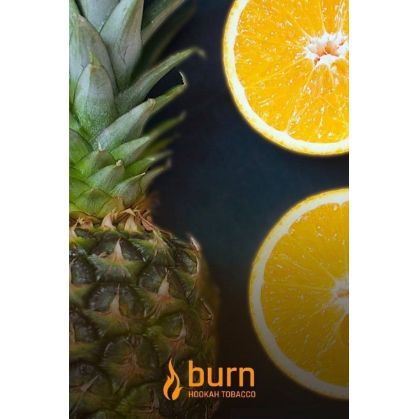 Табак Burn White Night 100 грамм в Сыктывкаре