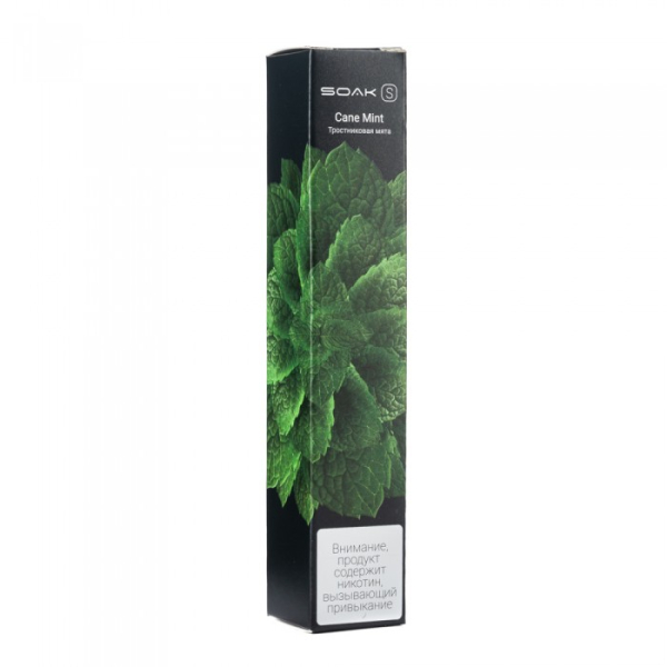 SOAK S Cane Mint (Тростниковая мята), 2500 тяг в Сыктывкаре