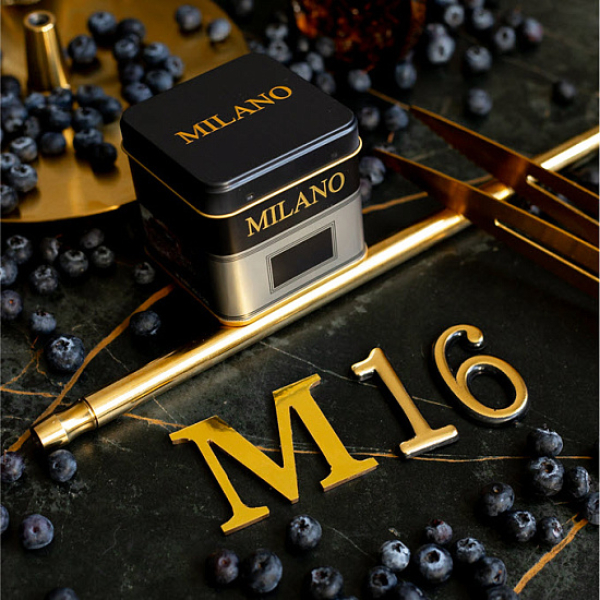 Табак MILANO GOLD М16 BILBERRY 100 гр в Сыктывкаре