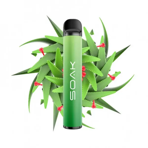 SOAK X Aloe Vera (Алое Вера), 1500 тяг в Сыктывкаре