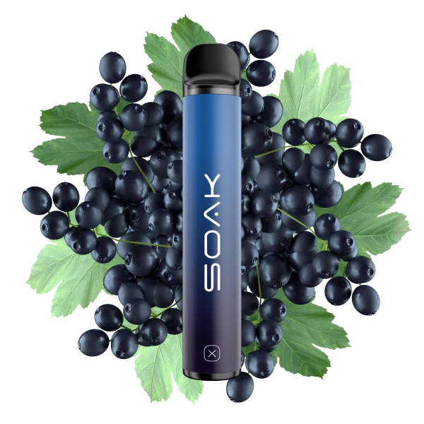 SOAK X Forest Blackcurrant (Лесная черная смородина), 1500 тяг в Сыктывкаре