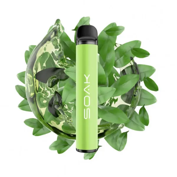 SOAK X Green Tea (Зеленый чай), 1500 тяг в Сыктывкаре