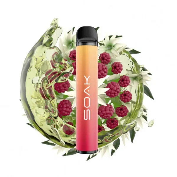 SOAK X Jasmin Raspberry Tea (Жасминовый чай с малиной), 1500 тяг в Сыктывкаре