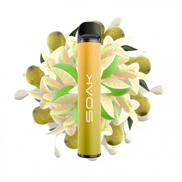 SOAK X Vanilla Pear (Ванильная груша с лаймом), 1500 тяг в Сыктывкаре