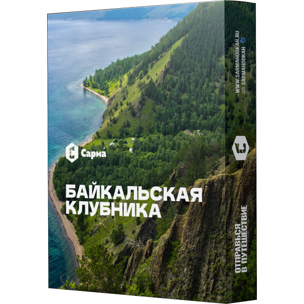 Табак Сарма Байкальская Клубника 25 гр в Сыктывкаре