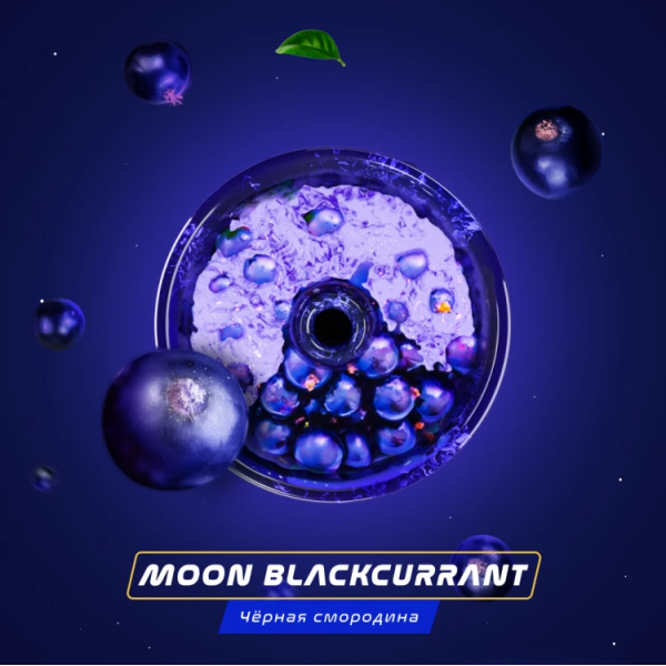 Паста Space Smoke BASIC Moon  Blackcurrant (Черная  смородина) 125 гр в Сыктывкаре