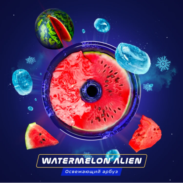 Паста Space Smoke BASIC Watermelon  Alien (Арбуз с  холодком) 30 гр в Сыктывкаре