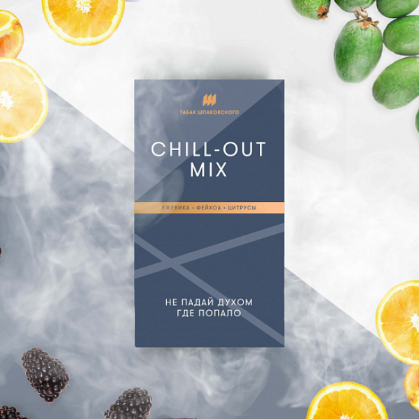 Табак Шпаковского Chill Out (Ежевика Фейхоа Цитрусы) 40 грамм в Сыктывкаре