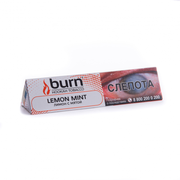 Табак Burn Lemon Mint  25 грамм в Сыктывкаре