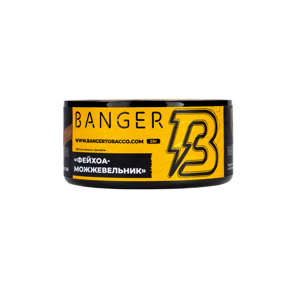 Табак Banger Evergreen 25 грамм в Сыктывкаре