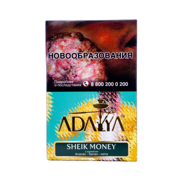 Табак Adalya Sheik Money 50 грамм в Сыктывкаре