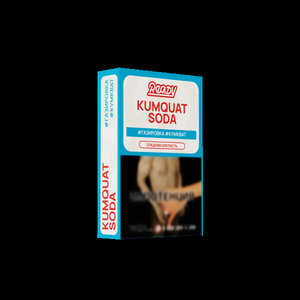 Табак Ready Kumquat Soda 25 грамм в Сыктывкаре