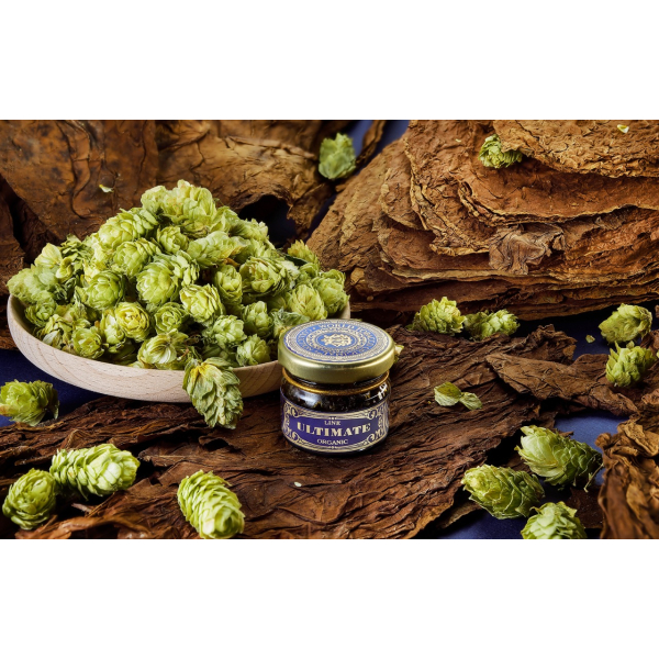 Табак WTO ULTIMATE ORGANIC UN2 Шишки Хмеля 20 грамм в Сыктывкаре